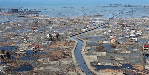 tsuna ni damate|short term effects of tsunamis.